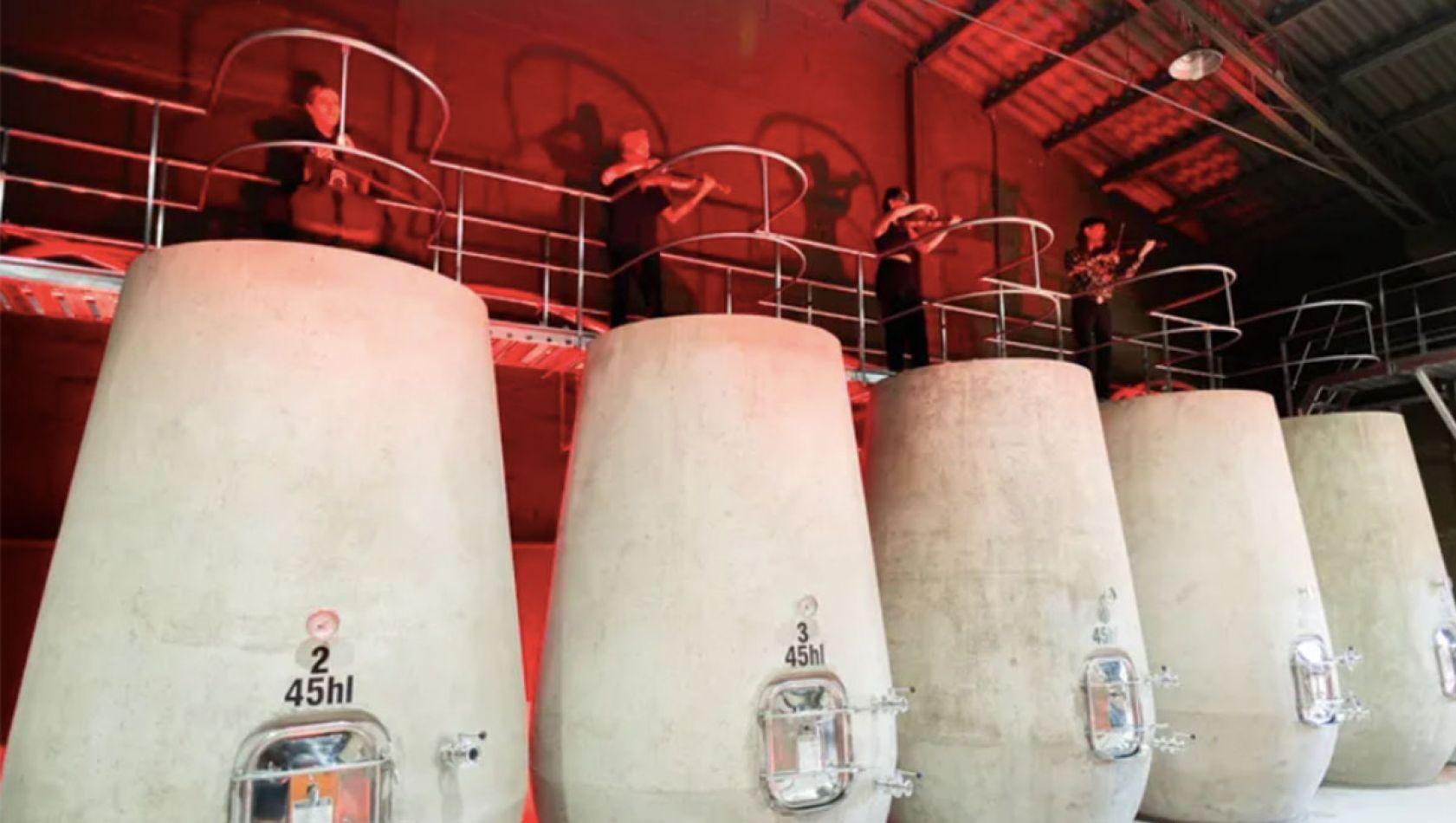 VISITA A LA BODEGA