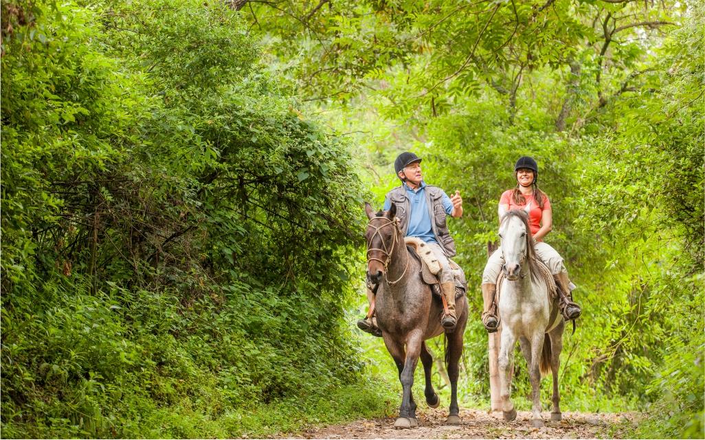 Finca El Recreo- Cabalgatas