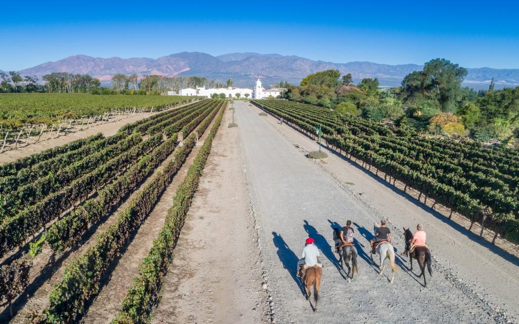 BODEGA EL ESTECO-Rutas de Altura: Aventura Ecuestre en Viñedos