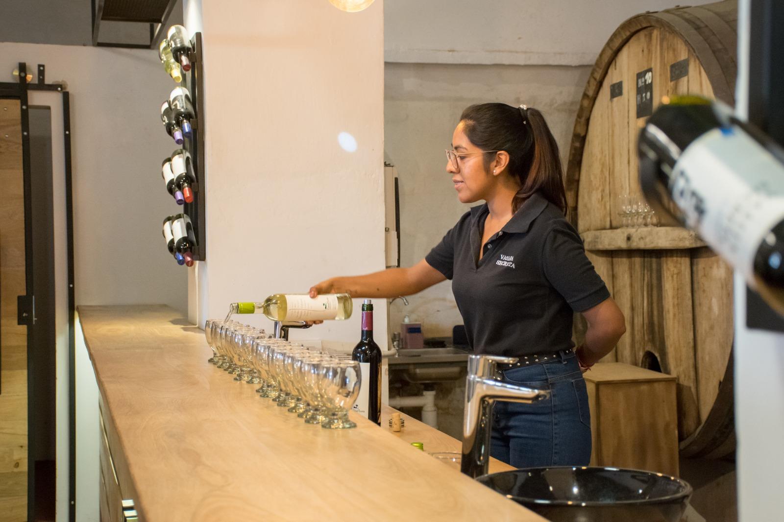 Vasija Secreta- Historia de la bodega & Degustación