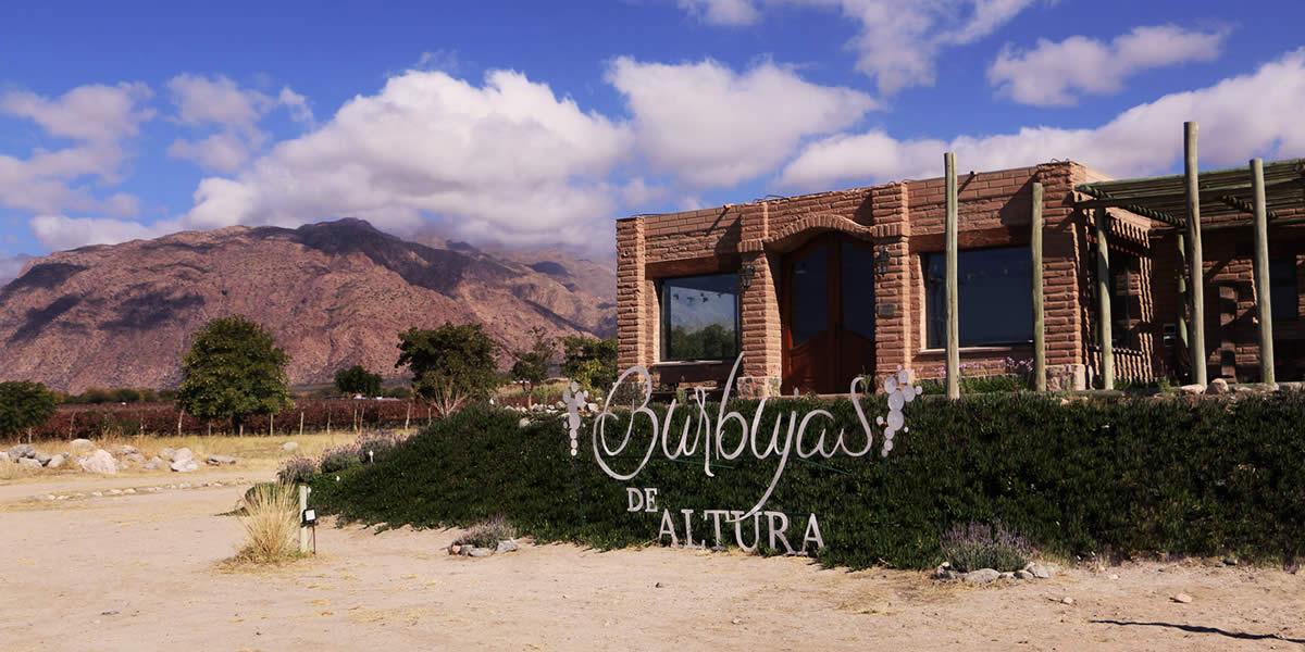 ENTRE VIÑAS Y BURBUJAS- BODEGA BURBUJAS DE ALTURA